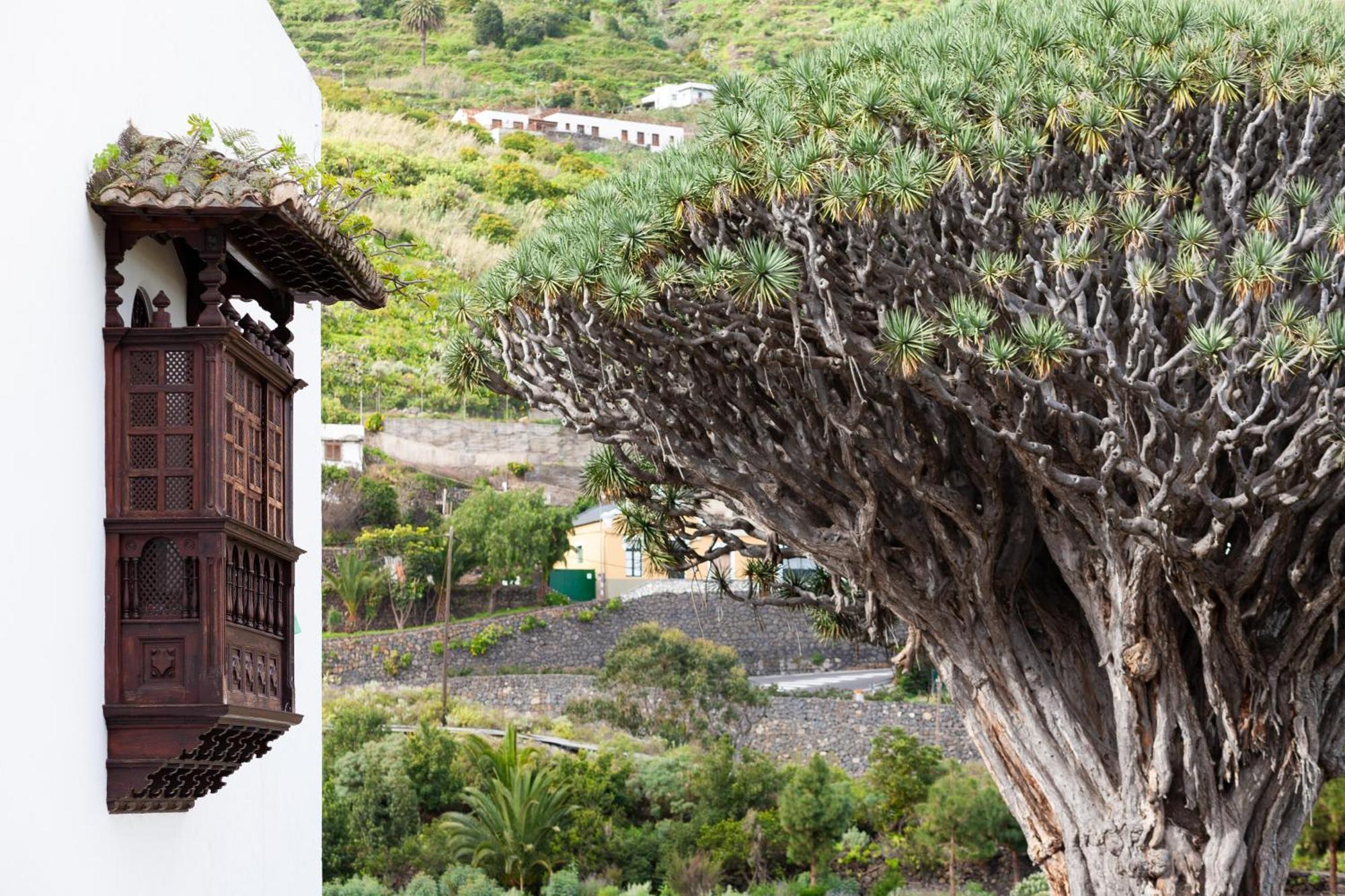 Cozy Seafront Studio With Balcony & Ocean Views San Marcos (Tenerife) Exterior foto